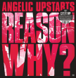 Angelic Upstarts "Reason Why?"
